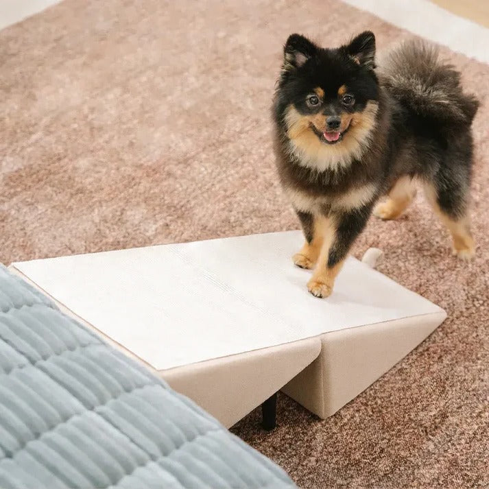 2-in-1 Convertible Dog Ramp and Step Stool - product detail 8