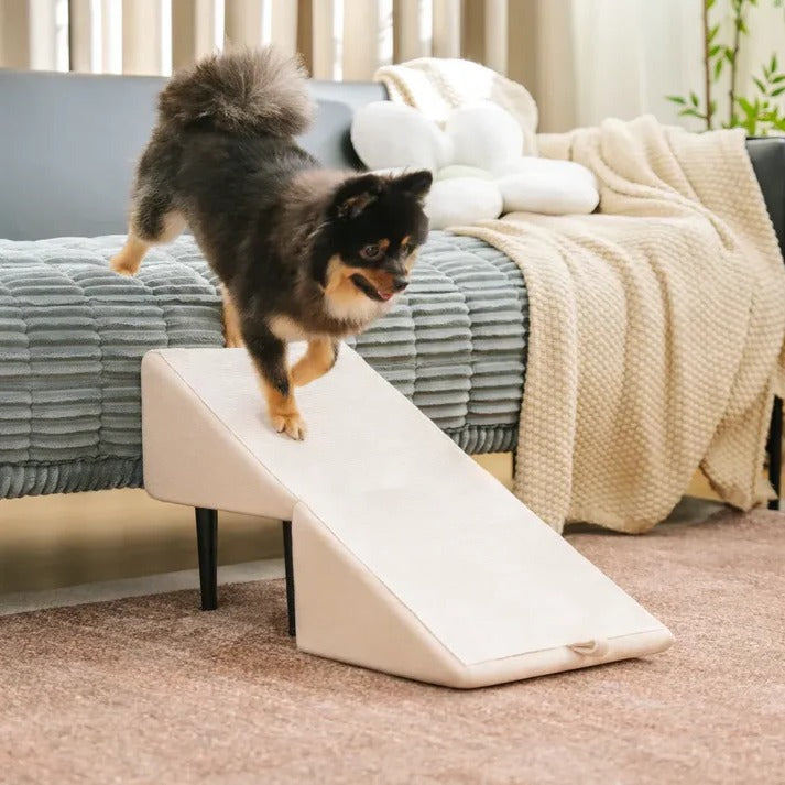 2-in-1 Convertible Dog Ramp and Step Stool - product detail 2