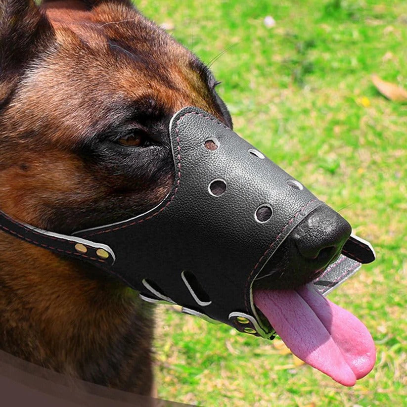 Breathable Dog Biting Muzzle Mouth Guard - product detail 2