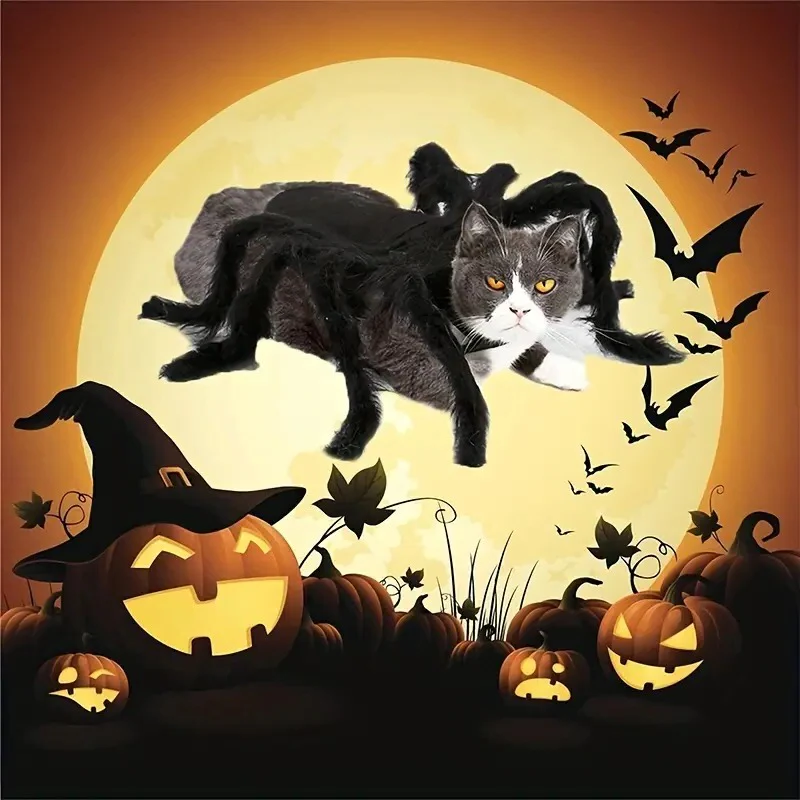 Pet Funny Spider Costume - product image 4