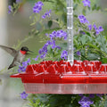 NOMOVA Hummingbird Feeder With Built-In Ant Moat