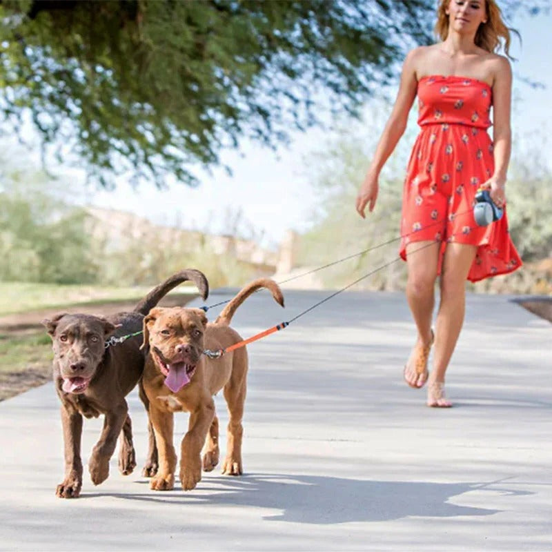 Dual Dog Leash with Flashlight & Waste Bag - product detail 8