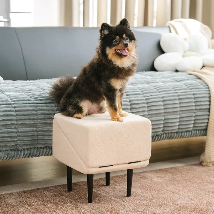 2-in-1 Convertible Dog Ramp and Step Stool - product detail 7