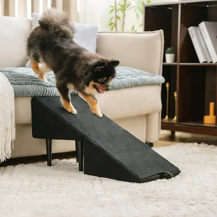 NOMOVA 2-in-1 Convertible Dog Ramp and Step Stool