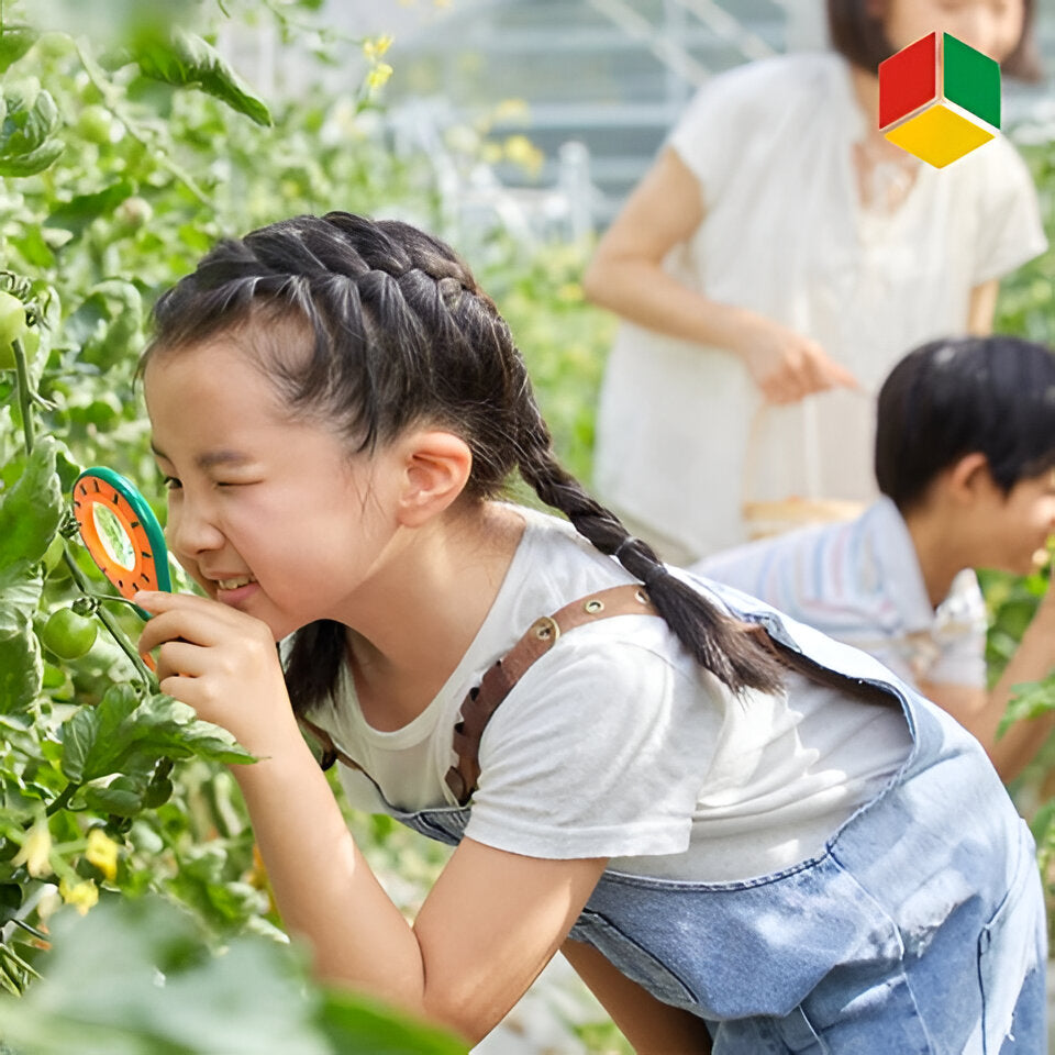 Kids Insect Exploration Kit - product detail 2