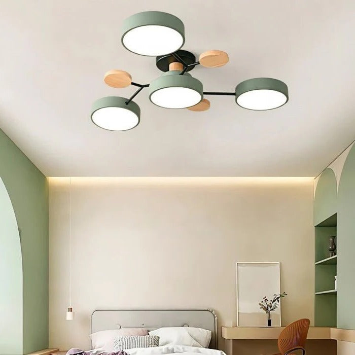NOMOVA Ceiling Light - Branching Design, Stylish & Sustainable with LED Technology