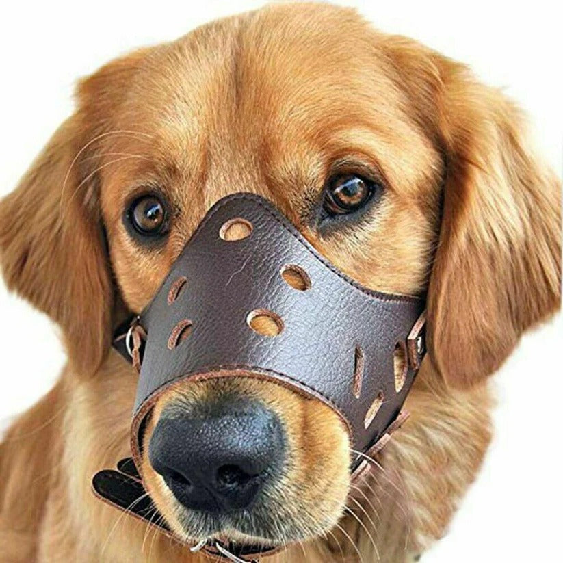 NOMOVA Breathable Dog Biting Muzzle Mouth Guard