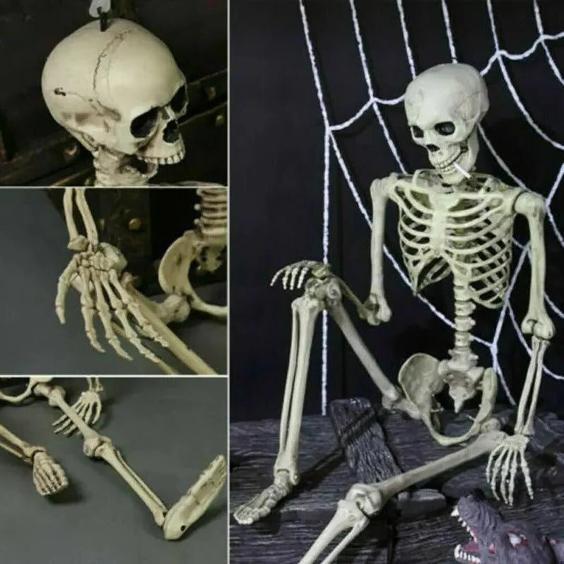 NOMOVA Poseable Skeleton - Creepy Halloween Skeleton Decorations