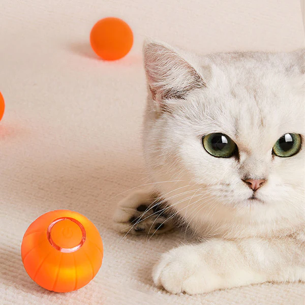 Pet Ball (Special Edition) - product image 2