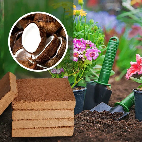 Organic Coconut Coir For Plants - product image 1