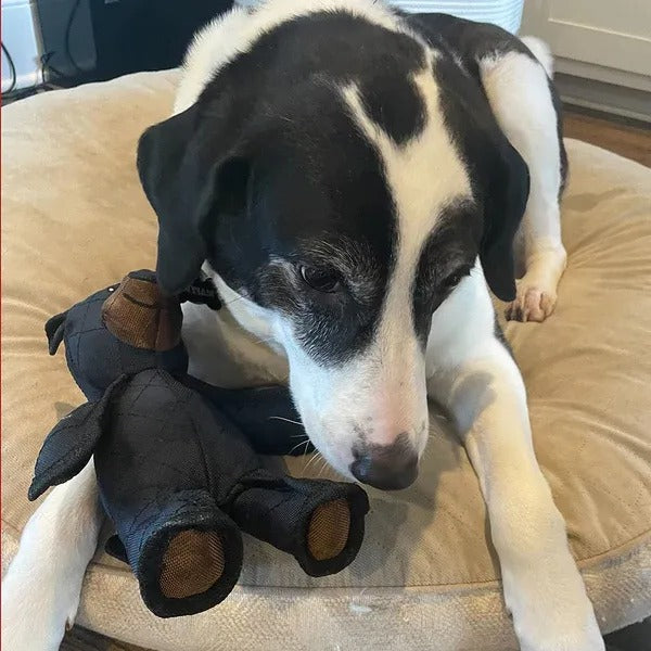 Indestructible & Interactive Bear Dog Toys For Heavy Chewers - product image 5