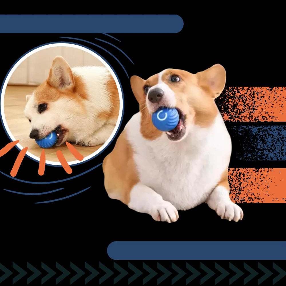 Interactive Obstacle-Avoiding Dog Ball - product detail 5