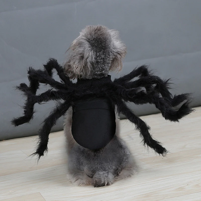 Pet Funny Spider Costume - product image 1