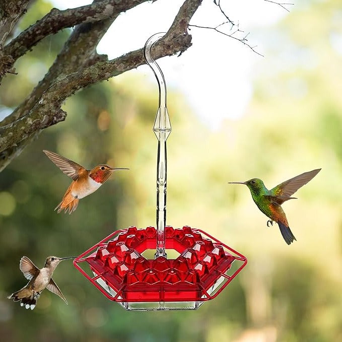 NOMOVA Ant Proof Hummingbird Feeder Outdoor Hanging Perch