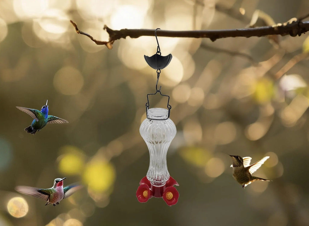Flowers Glass Hummingbird Feeder With Ant Moat - product detail 8