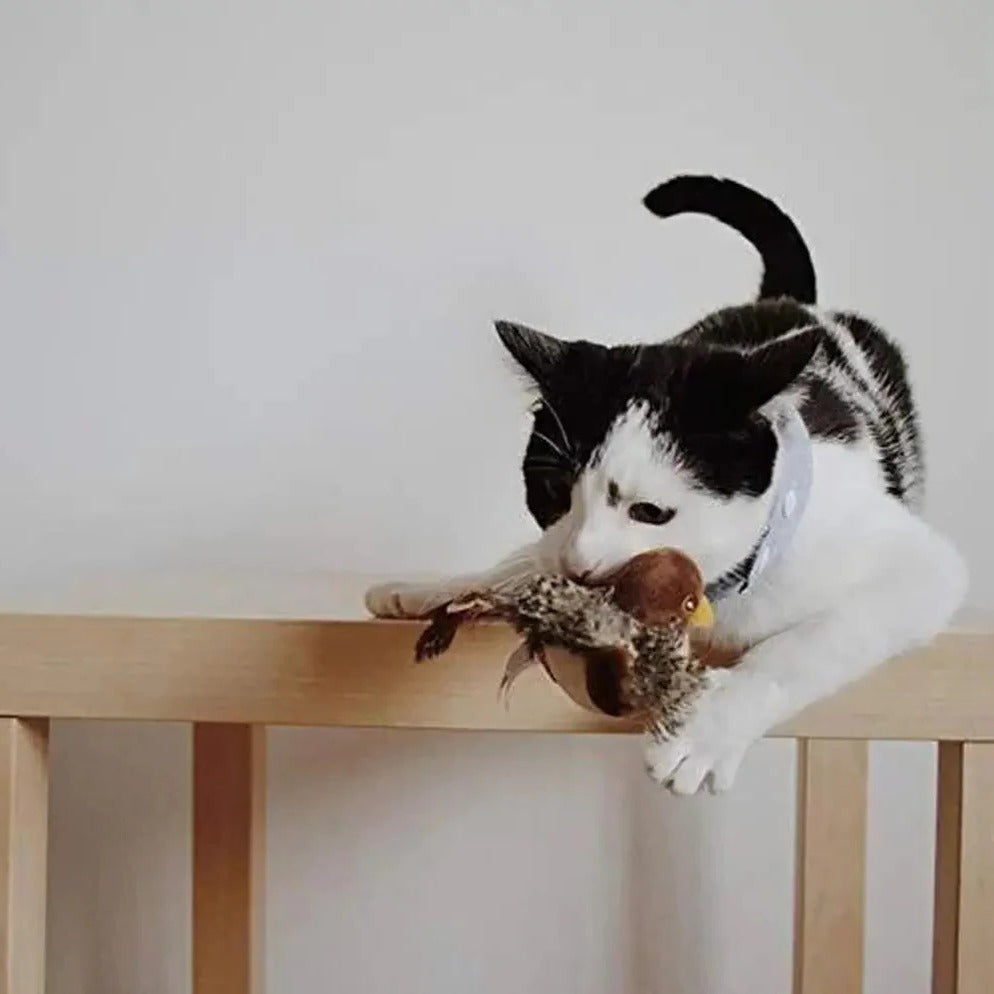 Interactive Sound Bird Cat Toy - Flapping Feather Fun - product detail 5
