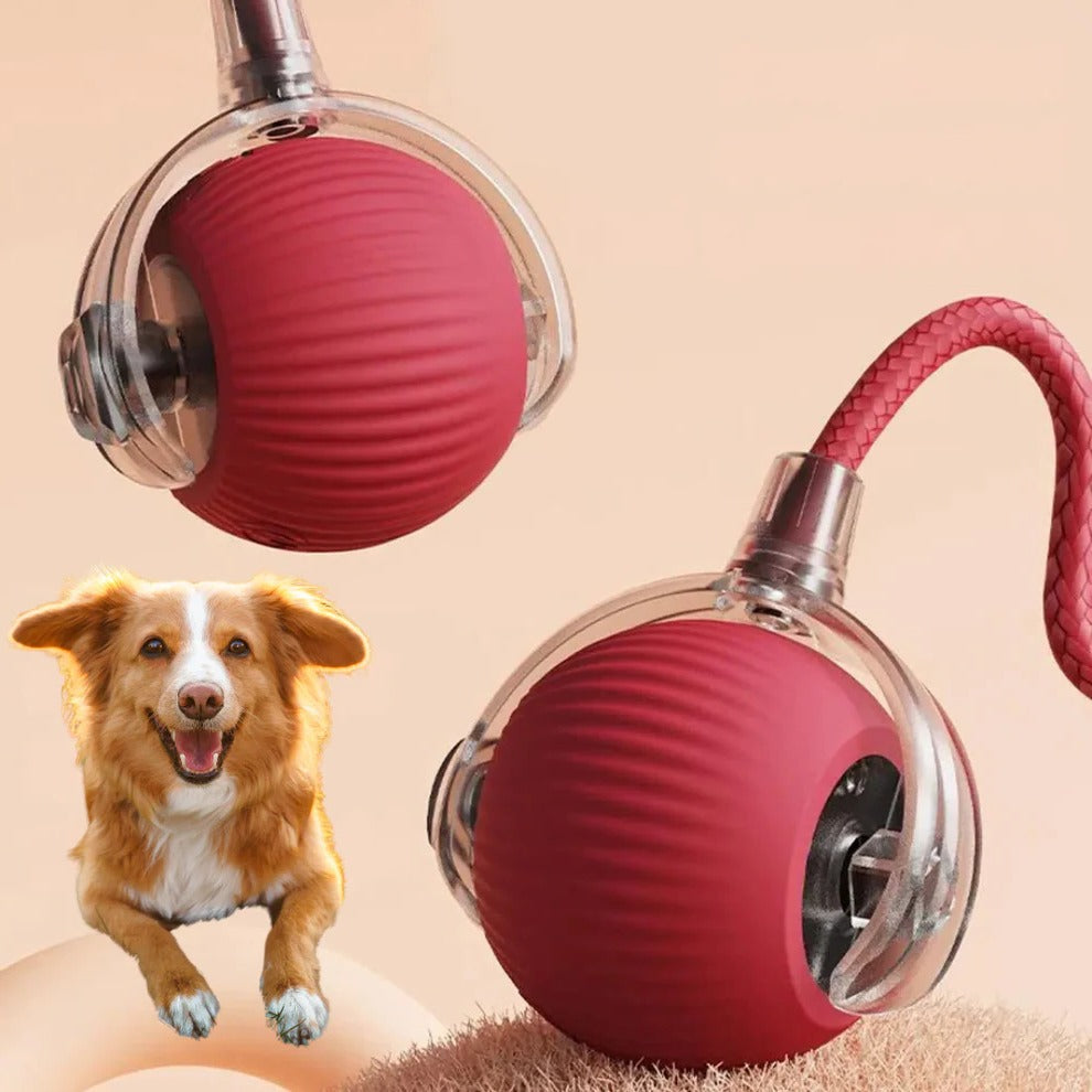 NOMOVA Active Rolling Ball with Tail for Dogs