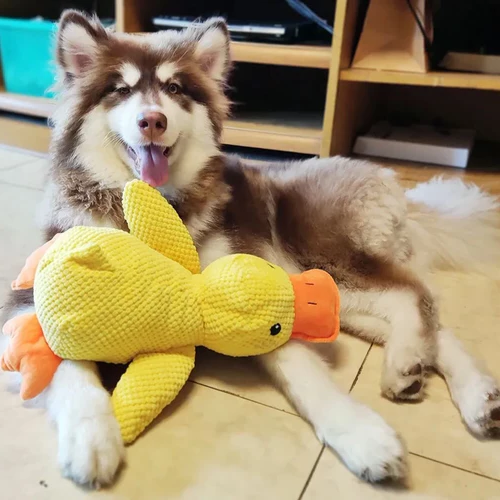 Calming Duck Dog Toy - product image 4