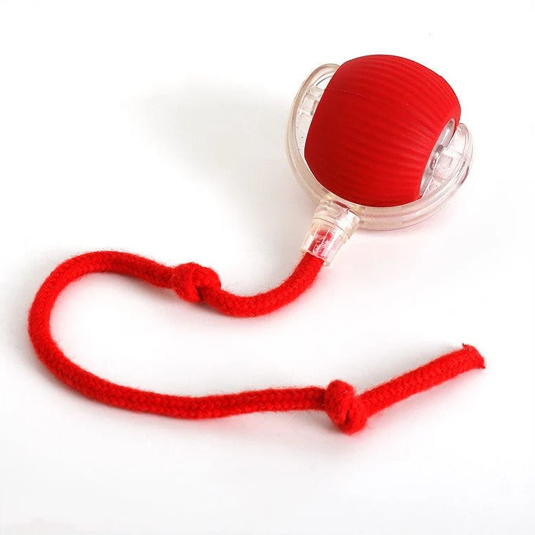 Active Rolling Ball with Tail for Dogs - product detail 9