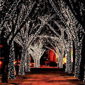 NOMOVA 17-Meter String of 100 LED Solar-Powered Fairy Lights