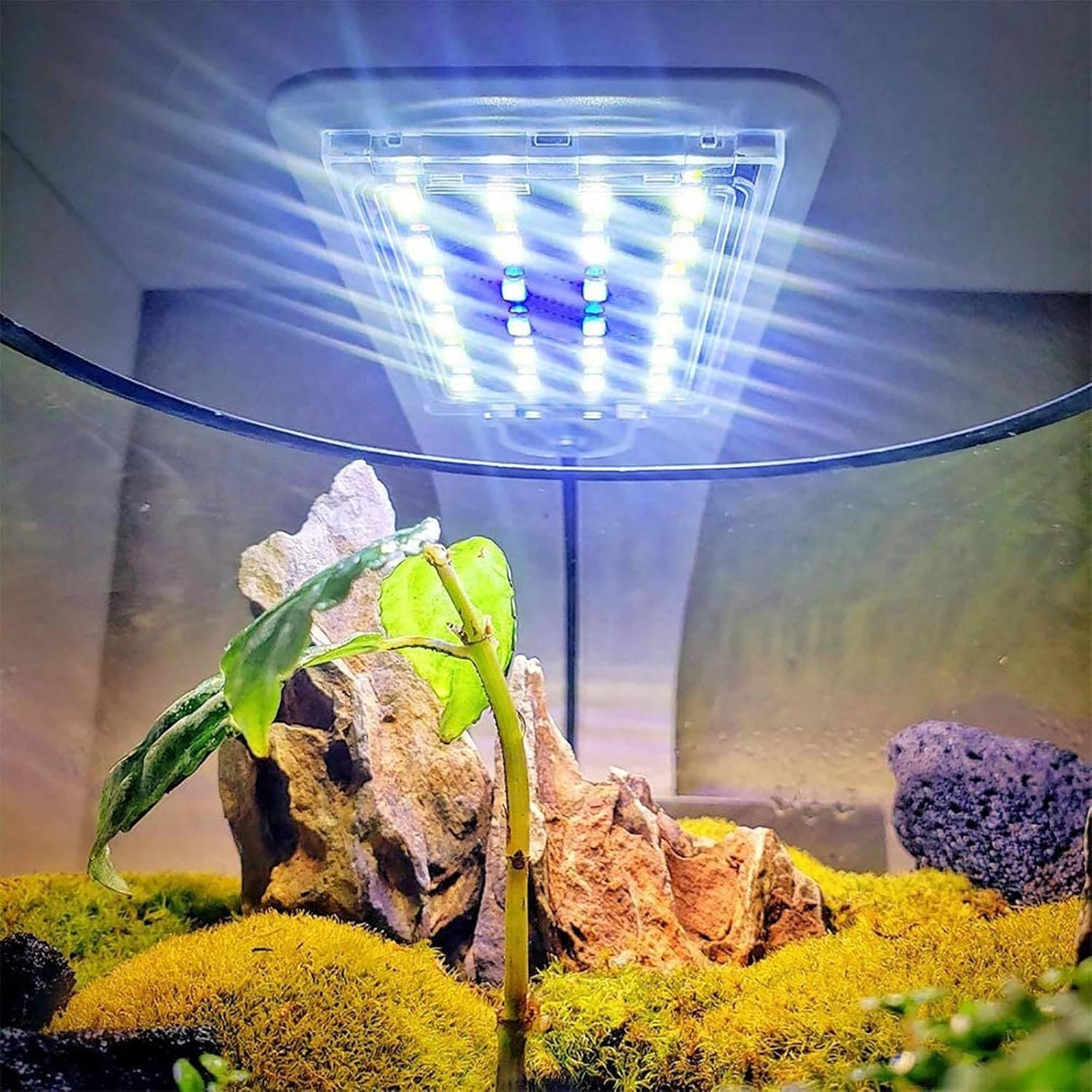 Super Slim LED Fish Tank Aquarium Light Aquatic Plant - product detail 8