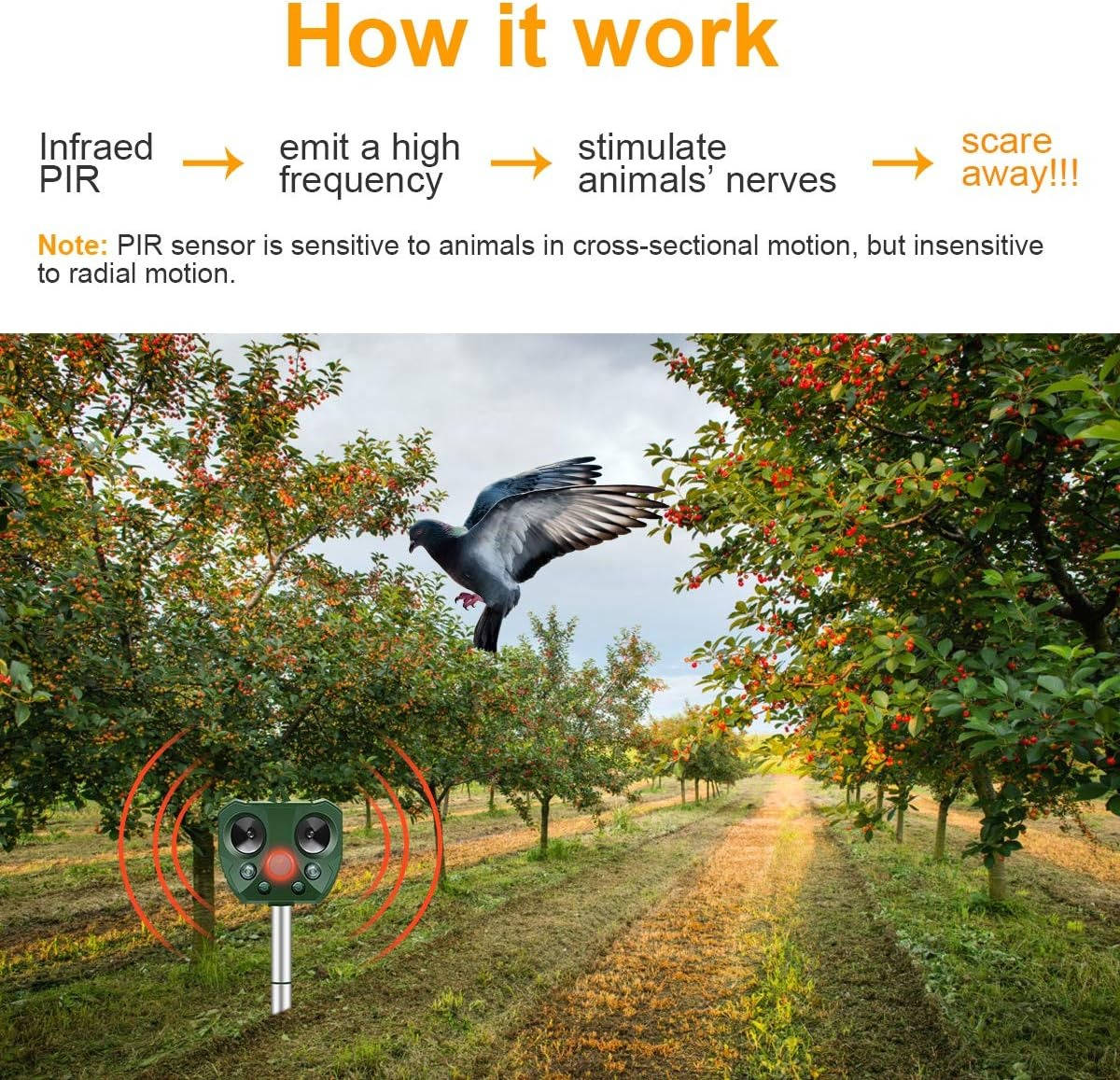 Pigeon And Bird Scarer Ultrasonic And Pest Defender - product detail 3