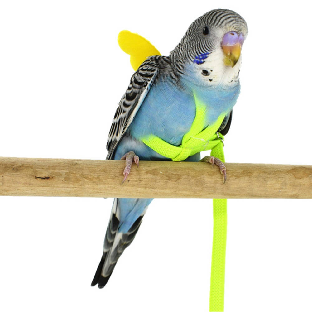 Parrot Bird Harness - product detail 4