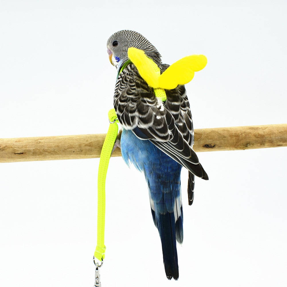 Parrot Bird Harness - product detail 3