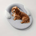 NOMOVA Orthopedic Cooling Dog Bed