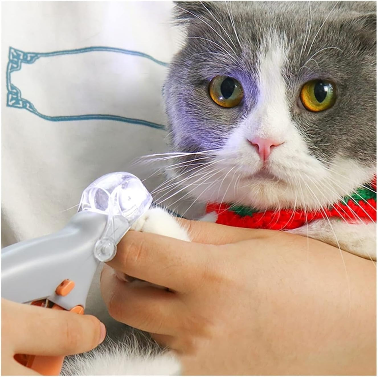 Pet Bail Clipper With Light - product detail 2