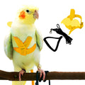 NOMOVA Parrot Bird Harness