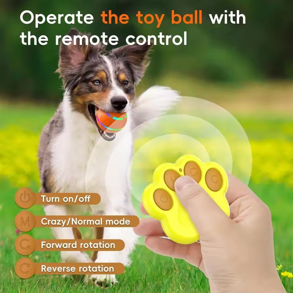 Interactive Dog Ball Toy - product detail 5