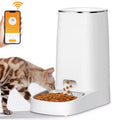 NOMOVA Automatic Cat Feeder