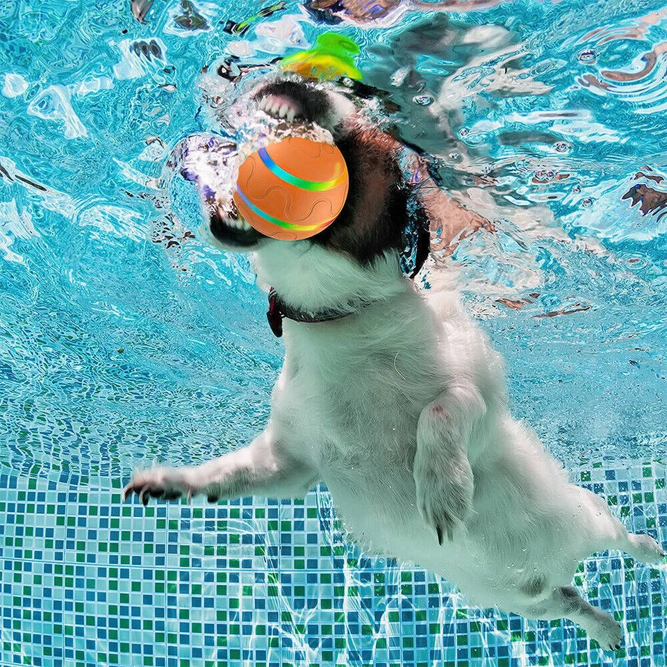 Interactive Dog Ball Toy - product detail 7