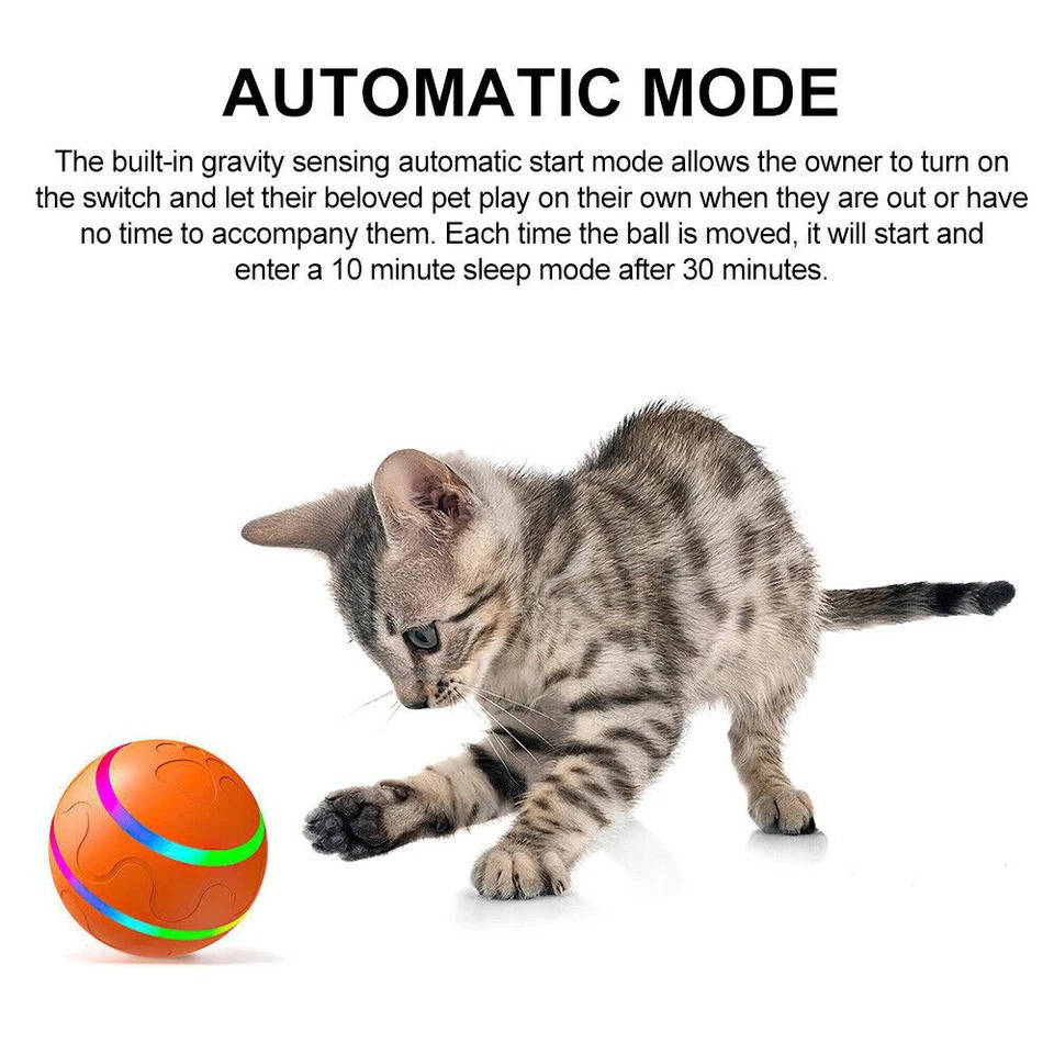 Interactive Dog Ball Toy - product detail 3