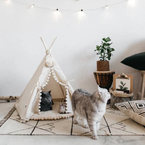 Bohemian Pet TeePee - product image 2