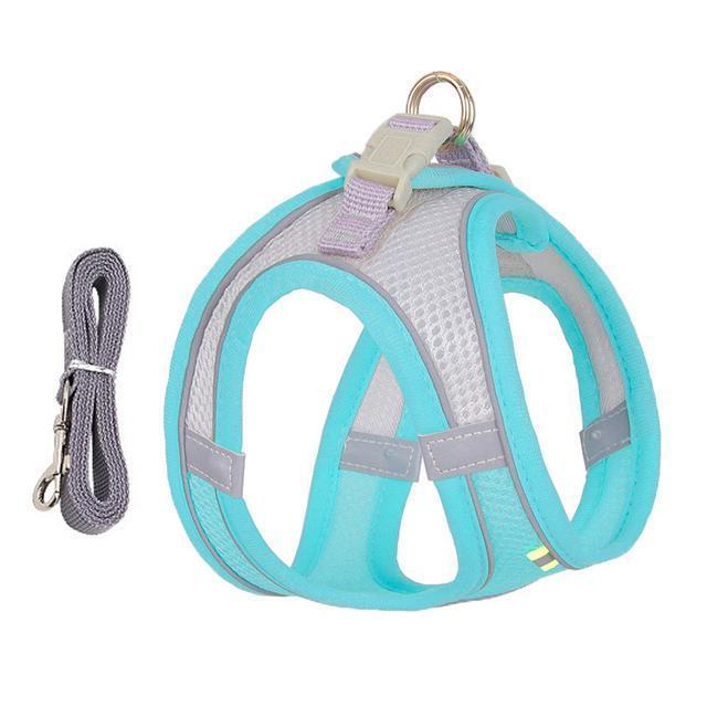 Adjustable Harness and Leash Set for Small Dogs and Cats - product image 2