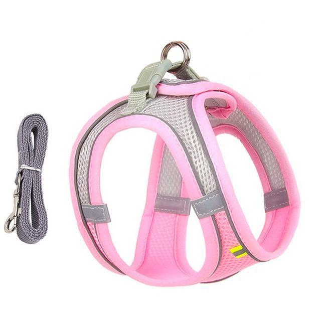 Adjustable Harness and Leash Set for Small Dogs and Cats - product image 3