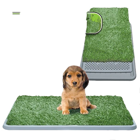 Indoor Grass - product image 4
