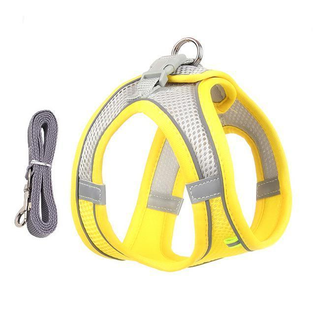 Adjustable Harness and Leash Set for Small Dogs and Cats - product image 4
