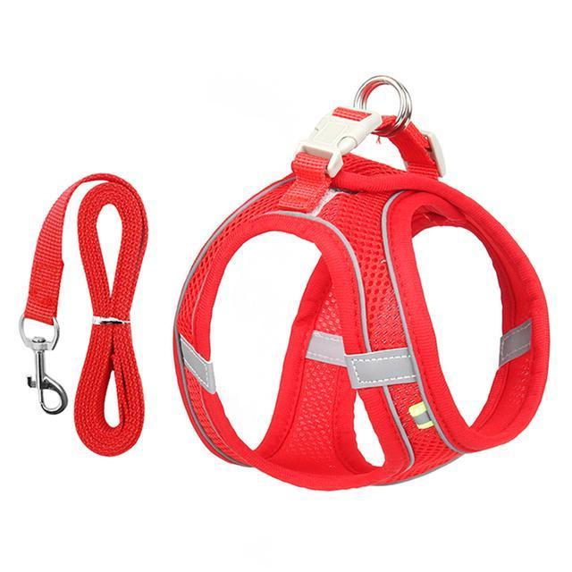 Adjustable Harness and Leash Set for Small Dogs and Cats - product image 5