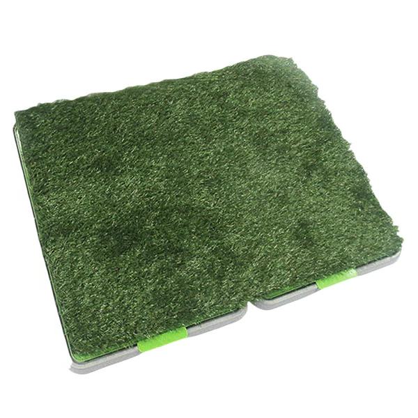 Indoor Grass - product image 1