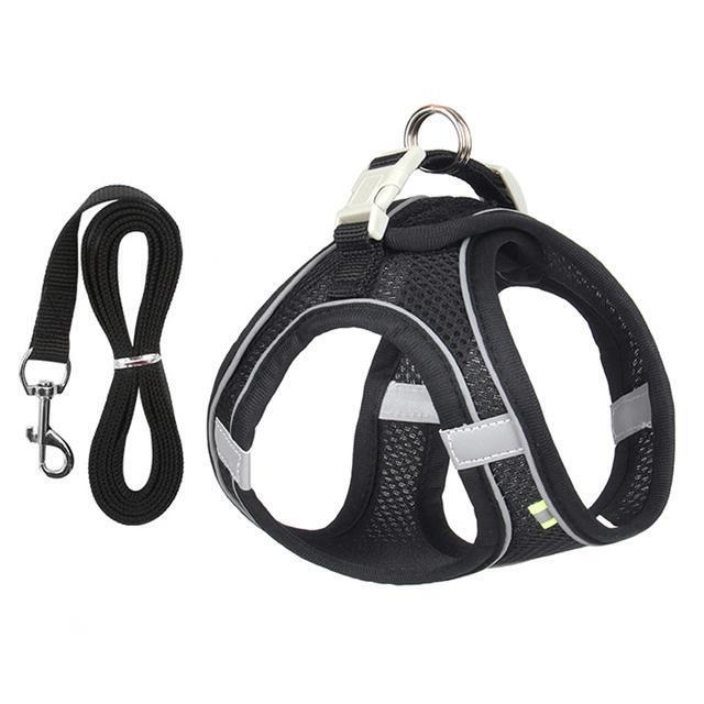 Adjustable Harness and Leash Set for Small Dogs and Cats - product image 1