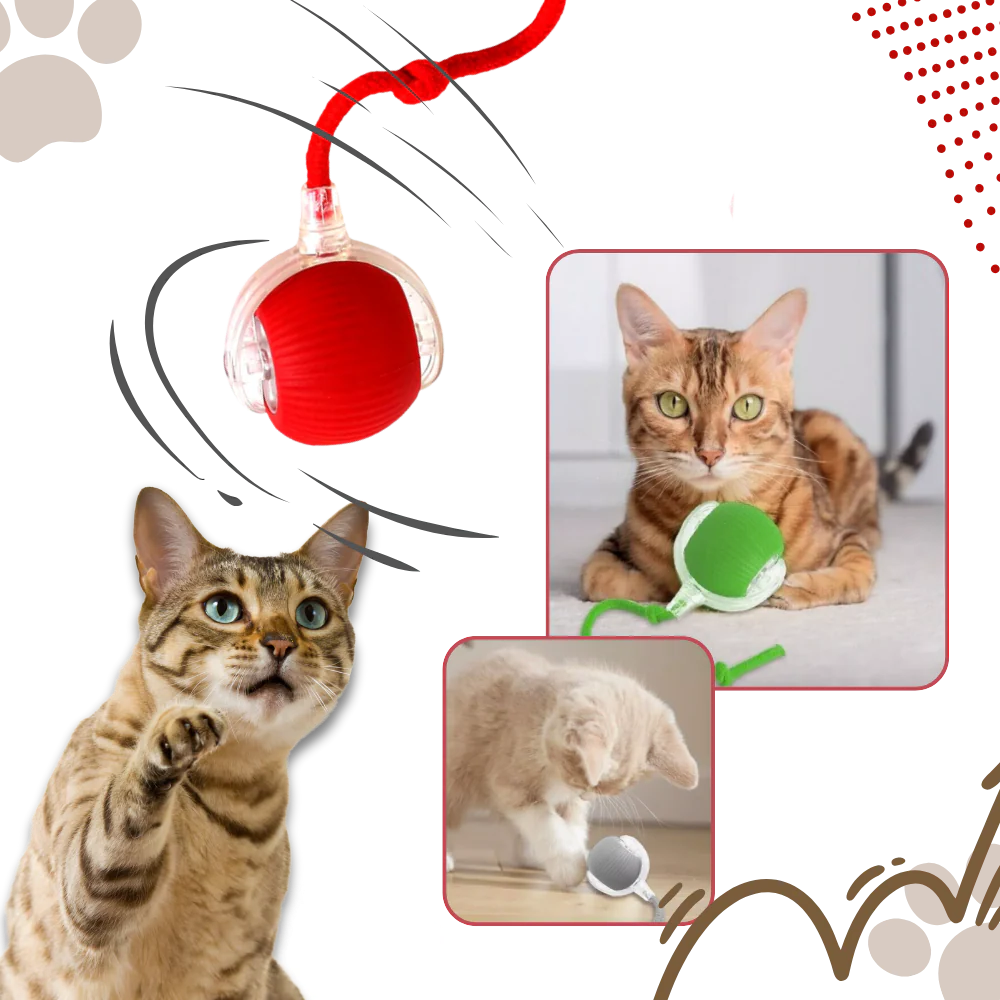 Smart Interactive Cats Ball Toy - product image 8