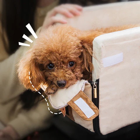 Pet Armrest Safety Seat - Pet Car Seat Travel Bag Suitable for Small Dogs and Cats - product image 6