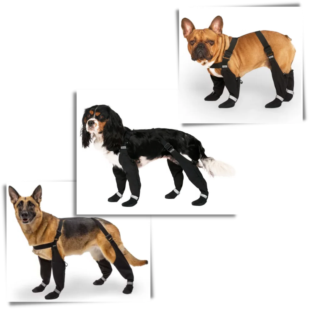 Waterproof Dog Suspenders Boots - product image 2