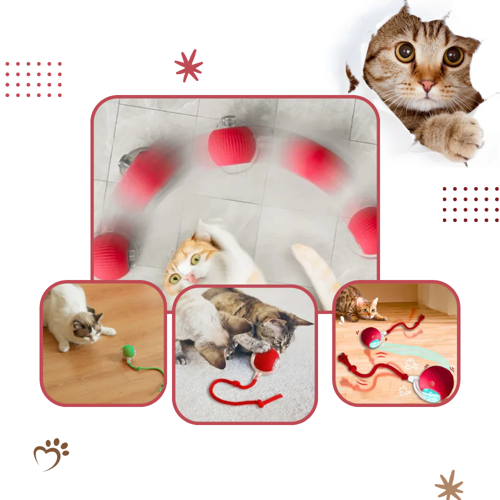Smart Interactive Cats Ball Toy - product image 9