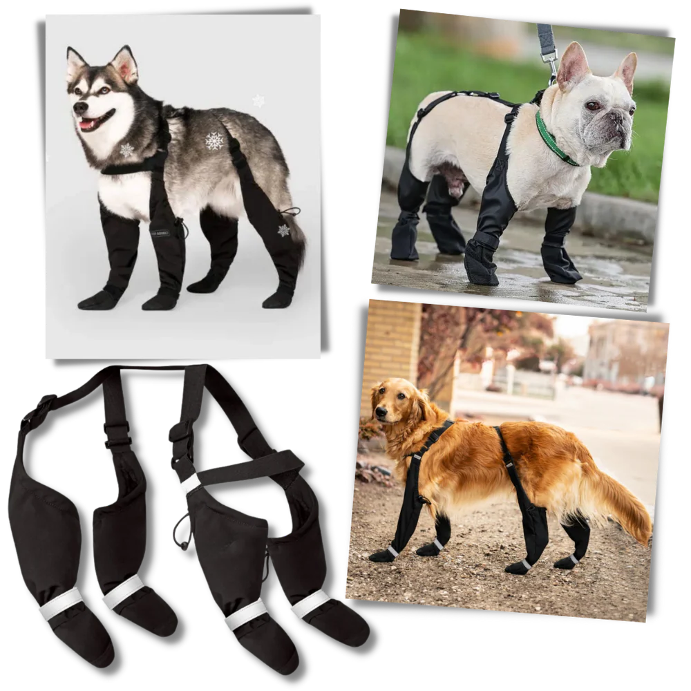 Waterproof Dog Suspenders Boots - product image 1