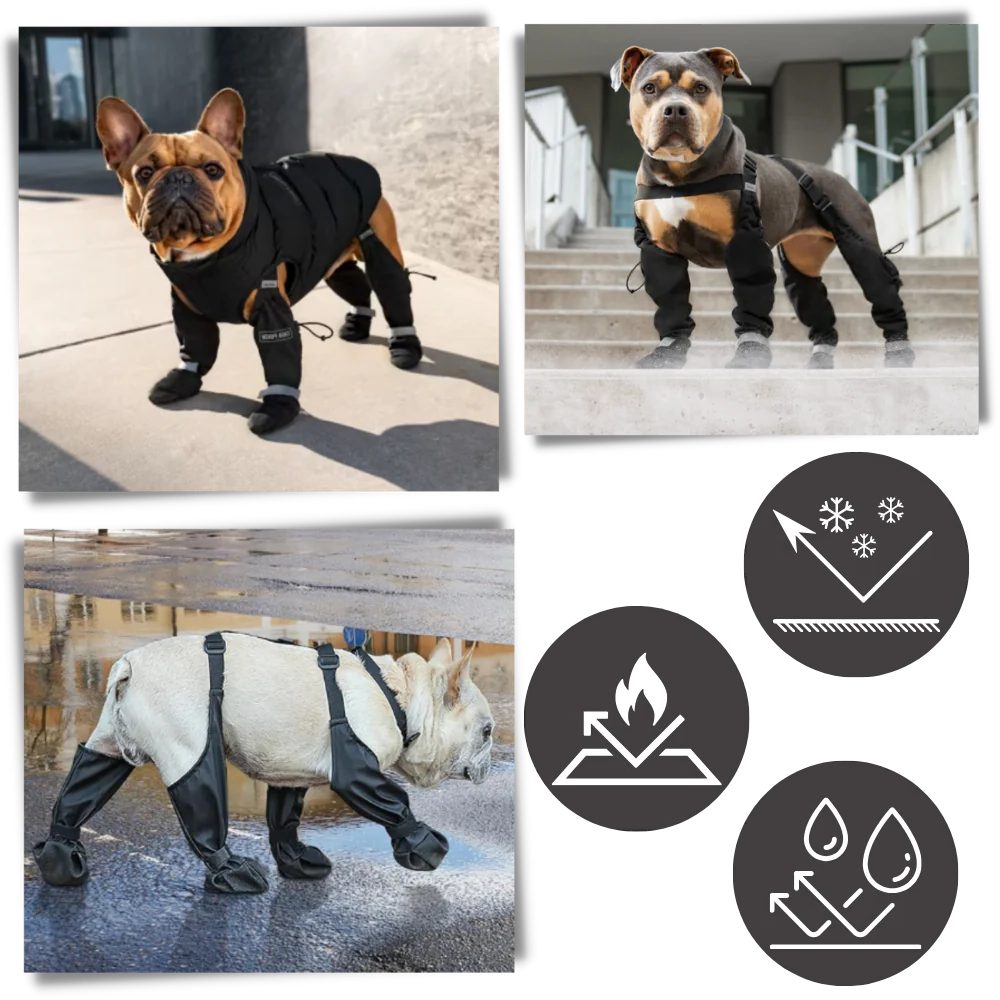 Waterproof Dog Suspenders Boots - product image 3