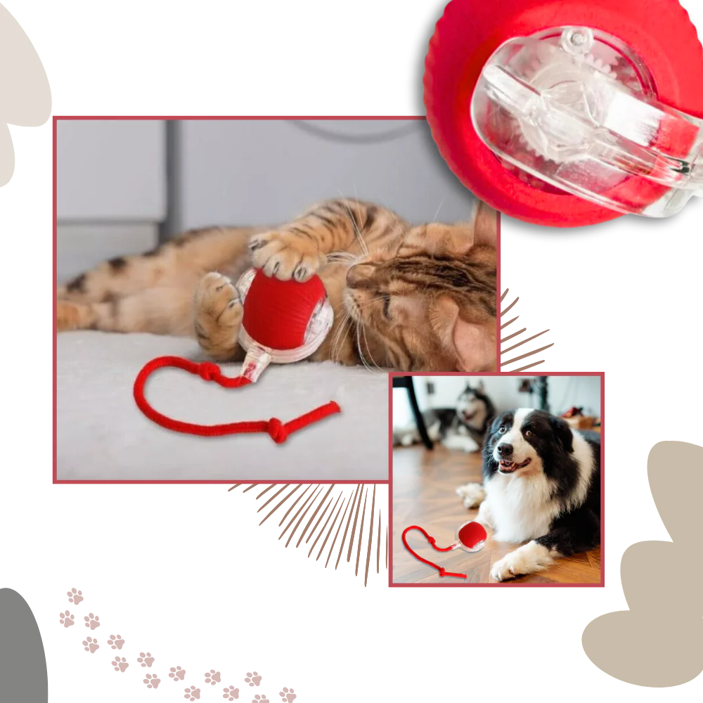 Smart Interactive Cats Ball Toy - product image 6